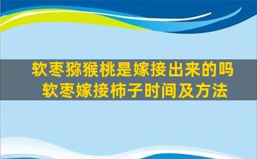 软枣猕猴桃是嫁接出来的吗 软枣嫁接柿子时间及方法